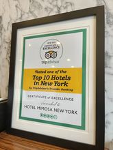 Others 4 Hotel Mimosa