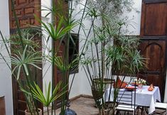 其他 2 Riad Elixir