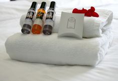 其他 4 Aparthotel Globus