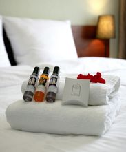 其他 4 Aparthotel Globus