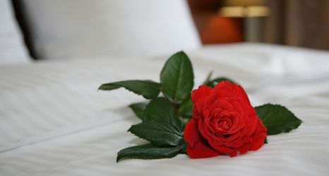 其他 2 Aparthotel Globus