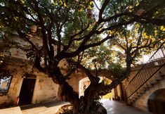 其他 4 Dervish Cave House