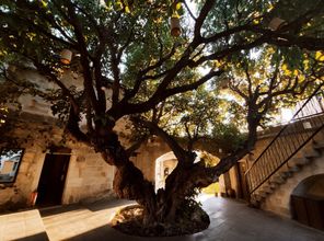 其他 4 Dervish Cave House