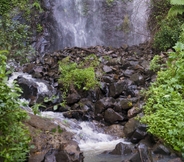 อื่นๆ 7 Nimbin Waterfall Retreat