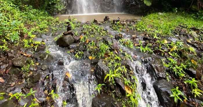 อื่นๆ Nimbin Waterfall Retreat