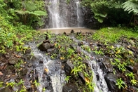 อื่นๆ Nimbin Waterfall Retreat