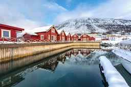 XLyngen, USD 328.51