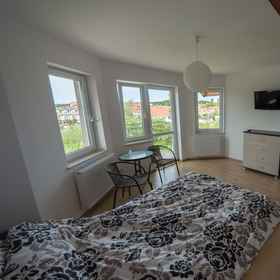 Primary image1維帕波旅館,格雷菲采飯店