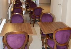 其他 4 Pelit Boutique Hotel