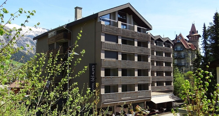 Lain-lain Hotel des Alpes