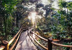 其他 2 Canto Leela Eco Bungalows