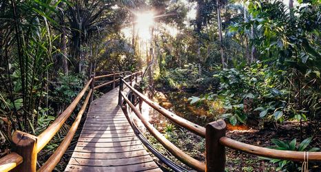 其他 2 Canto Leela Eco Bungalows