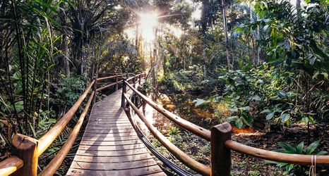 Khác 2 Canto Leela Eco Bungalows