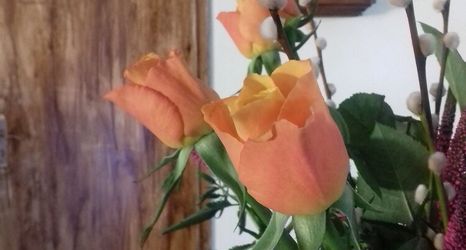 その他 2 Hotel Bad Langensalza Eichenhof