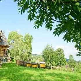 Imej utama 1 Willa Turnia, Willa Serafin Hotels