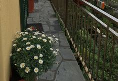 อื่นๆ 3 Casa Catò