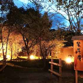 Primary image 1 Shikinomori Shibian, Sese Kushikihogonen Hotels