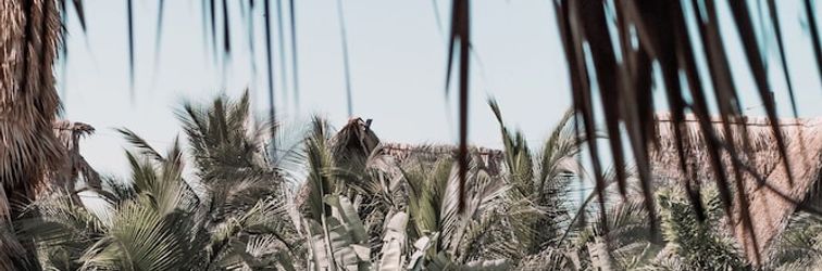 Others Swell Surf & Lifestyle Hotel