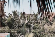 Others Swell Surf & Lifestyle Hotel