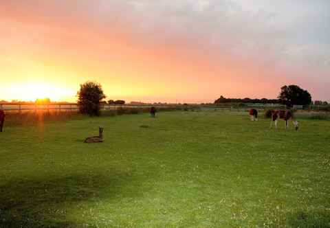 Others Glamping With Llamas