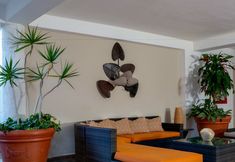 其他 2 Hotel LD Palm Beach