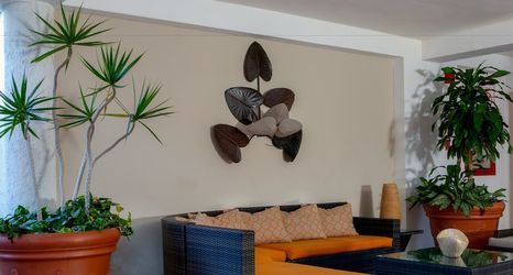 其他 2 Hotel LD Palm Beach