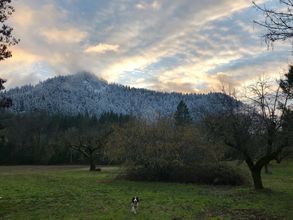 其他 4 Wolf Creek Inn & Tavern