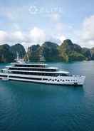 ภาพหลัก Stellar of the Seas