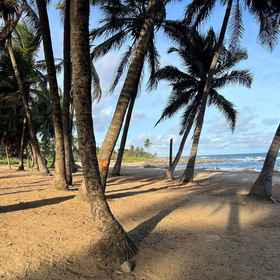 Primary image1伊塔普阿海灘公寓(底層帶空調 - 無額外費用),弗拉门戈海滩飯店