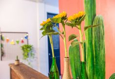 その他 6 Zone Danang Hostel