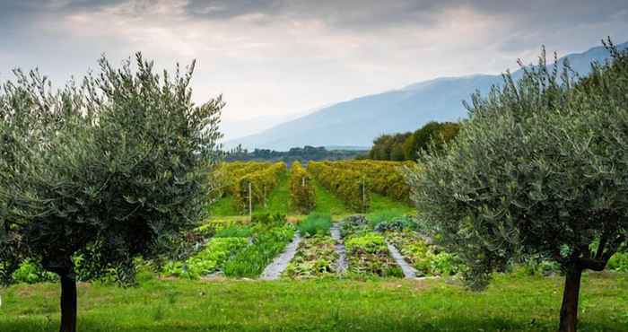 Lain-lain Agriturismo Al Luogo del Giulio