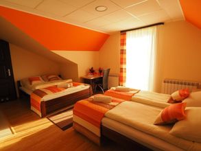 อื่นๆ 4 DW Poronianka