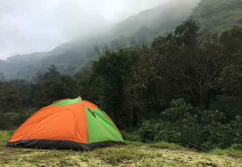 Lainnya Canary Forest Camping