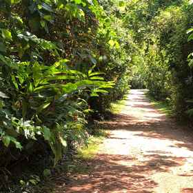 Primary image1The Villa Green Inn,D PLUS Resort Negombo飯店