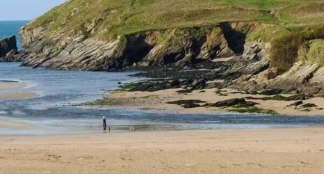 その他 2 Beachcombers