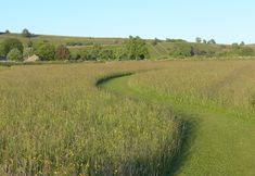 Khác 2 2 Primitive Mews