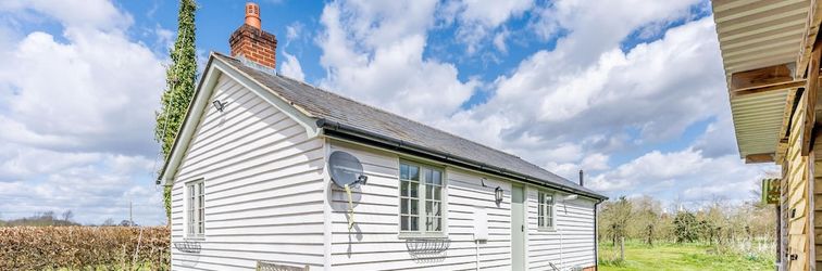 Others Little Melrose