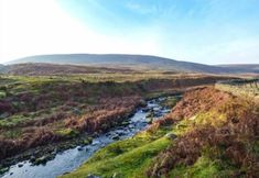 Others 3 88 Regent Street