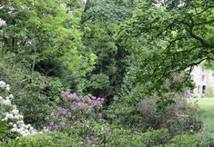 Lain-lain 5 Housekeeper's Rooms