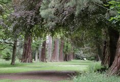 Lain-lain 4 Housekeeper's Rooms