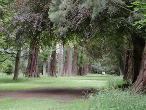 Lain-lain 4 Housekeeper's Rooms