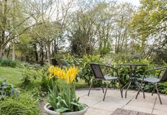 Others 4 Flintstones