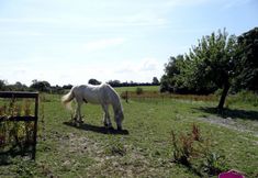 其他 4 Pittards Farm Cottage
