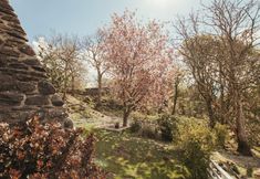 其他 7 Cefn Uchaf Cottage