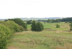 その他 5 Deer Lodge