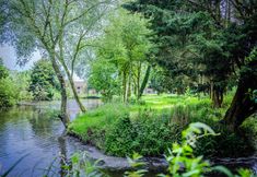 อื่นๆ 6 Ladybird