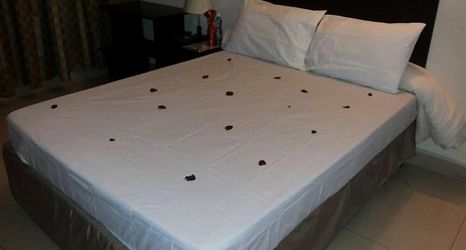 Others 2 Hotel Continental