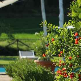 Primary image 1 Agriturismo Countryhouse L'Ariete, Bastia Umbra Villas