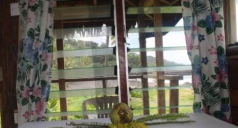 其他 2 Tanna Ikamir Bungalows and Accomodations