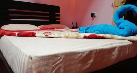 Lain-lain 2 Ella Summer Lesser